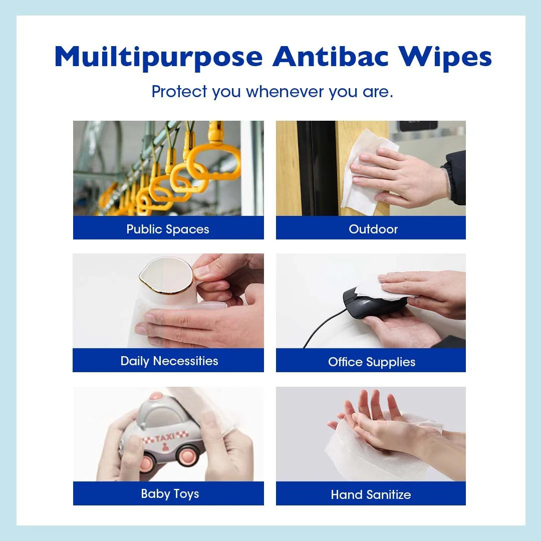 10 Wipes (Bundle of 6) - Antibacterial Classic Wipes